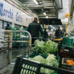MIN Montpellier : hall frigorifique avec grossistes pros